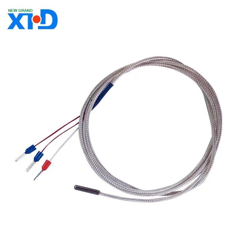 Thermocouple PT100